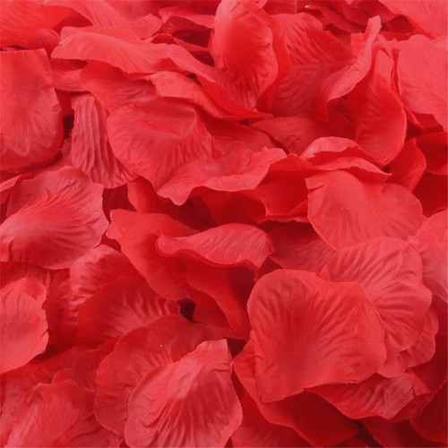 Red silk rose petals flower - red,